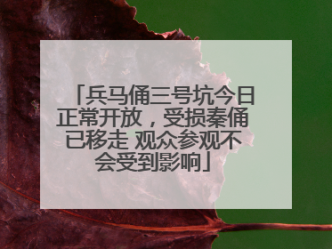 兵马俑三号坑今日正常开放，受损秦俑已移走 观众参观不会受到影响